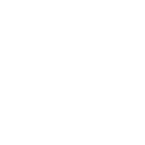 Icono Fisioterapia Deportiva